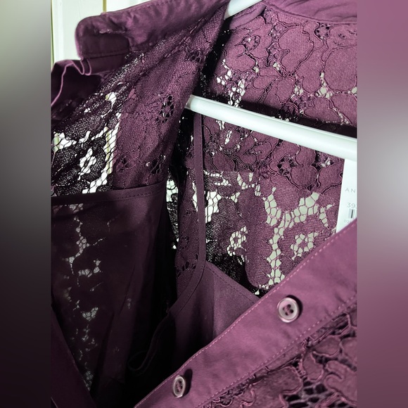 Ann Taylor Deep Burgundy Lace Long Sleeve Dress - Picture 13 of 13